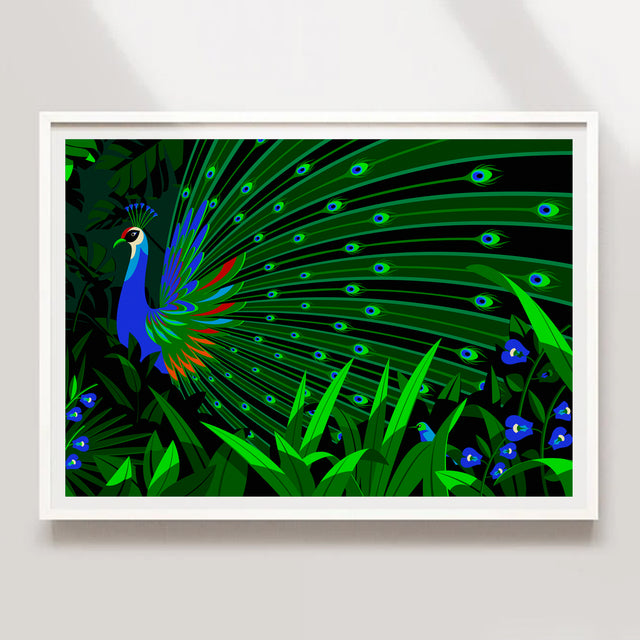 Royal Peacock